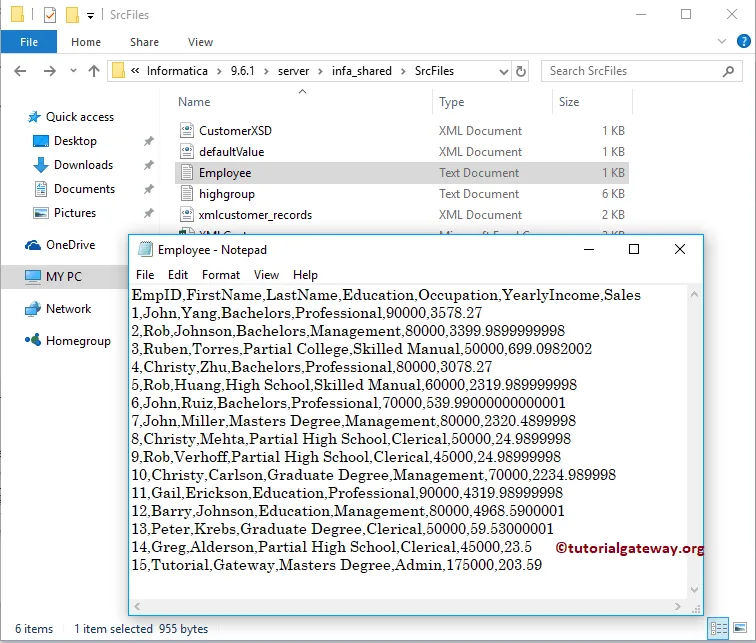 Command Task in Informatica 1